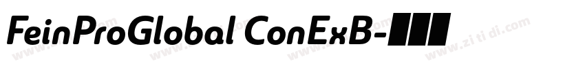FeinProGlobal ConExB字体转换